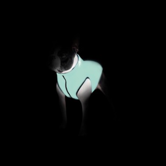 Bien-être Nocturne : Veste Ultra-Légère Phosphorescente pour Chiens - Vert Clair et Bleu
