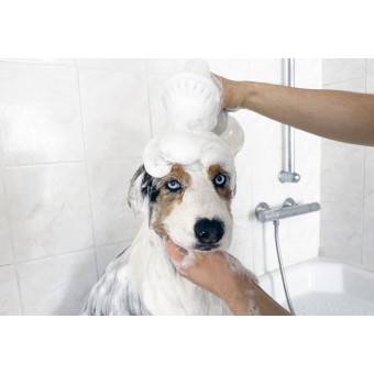 Mélangeur shampoing Fur Ever - UAH PET