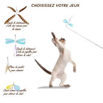 Feather Wand Gen II : Canne à Pêche Interactif Ultra-Légère pour Chats