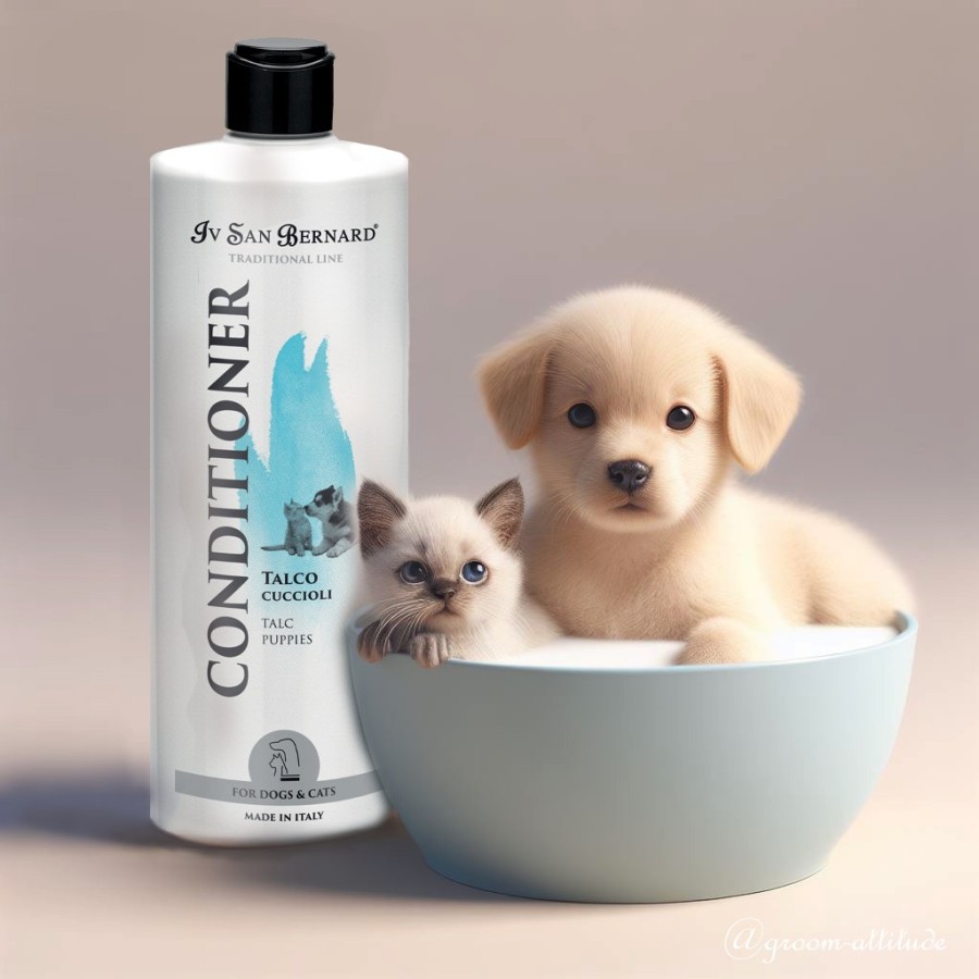 shampooing_talc_iv_san_bernard_groom_attitude_chiot_chaton