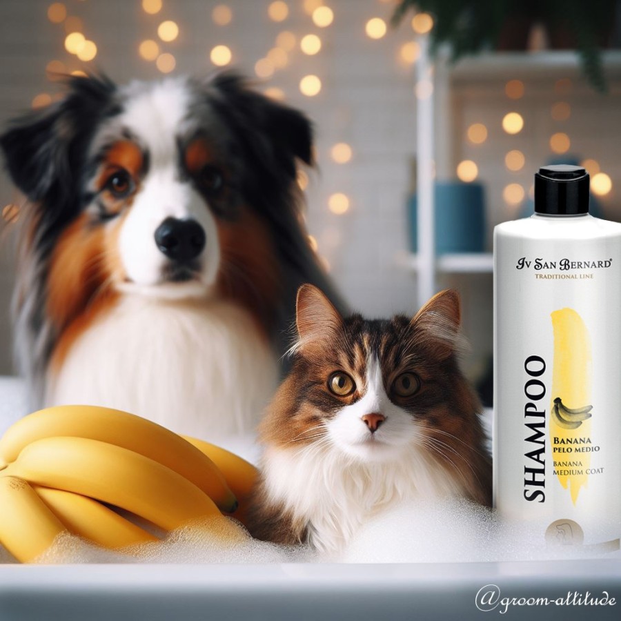 shampooing_banane_texture_sous_poil_mi_long_500ml_iv_san_bernard_groom_attitude