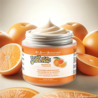 Pack Avantageux Orange IV SAN BERNARD : Shampooing & Masque avec 10% de Réduction + Livret Offert