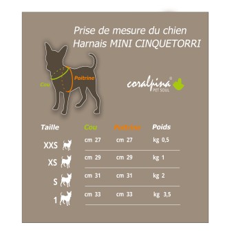 Harnais Mini Cinquetorri Lilas pour Chiens de Petite Taille