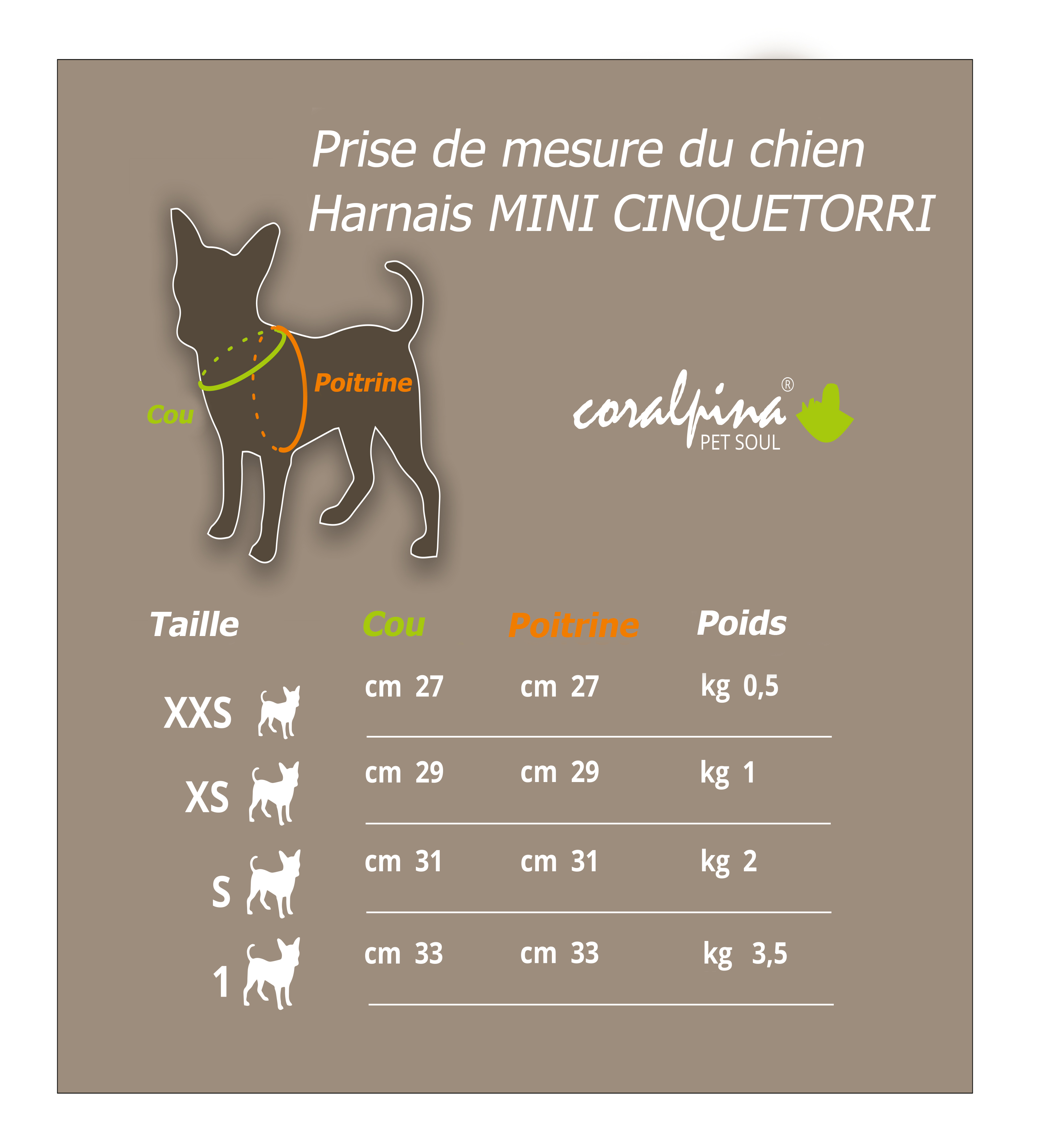 Harnais Petit Chien : Taille Par Race - Chien et Chiot